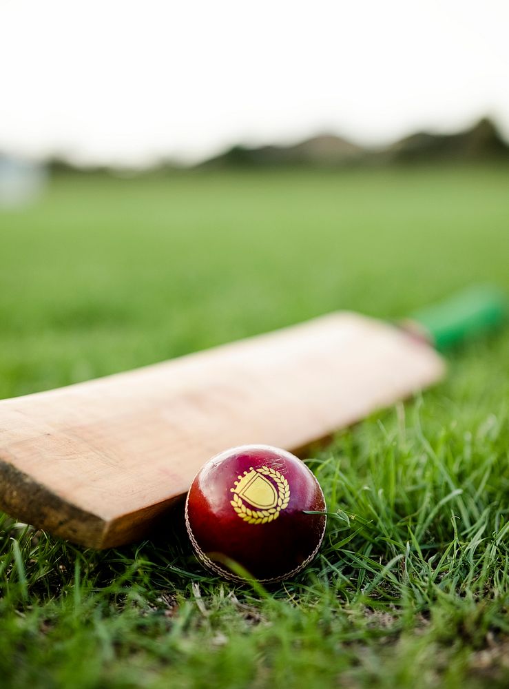 Seeking help for gambling addiction related to cricket betting