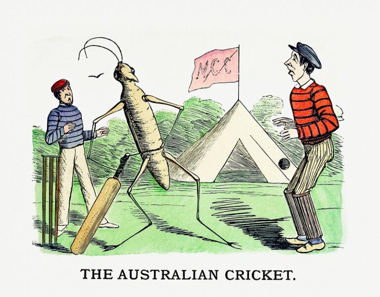 Exploring the measures to detect match-fixing in cricket