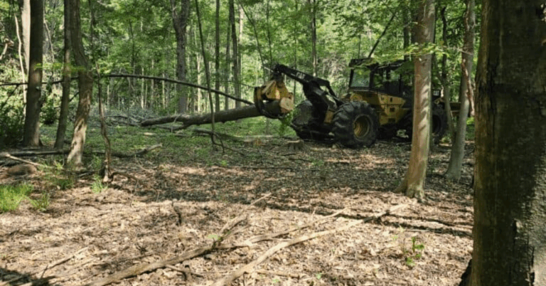 The Importance of Professional Land Clearing Services for Property Development