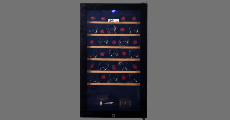 Wine Fridge Singapore: A Complete Guide to Choosing the Perfect Cooler